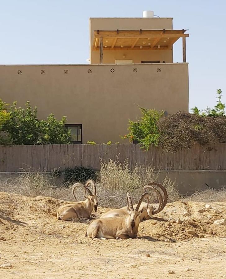 Apartamento צמח בר Midreshet Ben Gurion Exterior foto